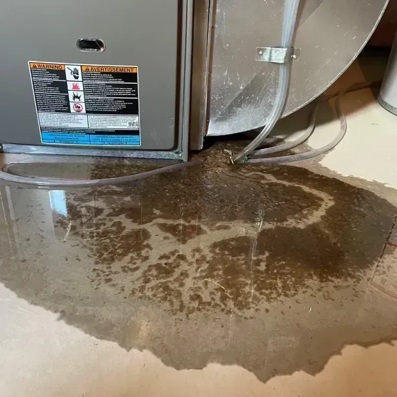 Appliance Leak Cleanup in Cass County, IL